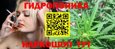 ешки Кимры