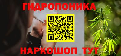 герыч Кингисепп