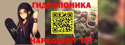ешки Кимры