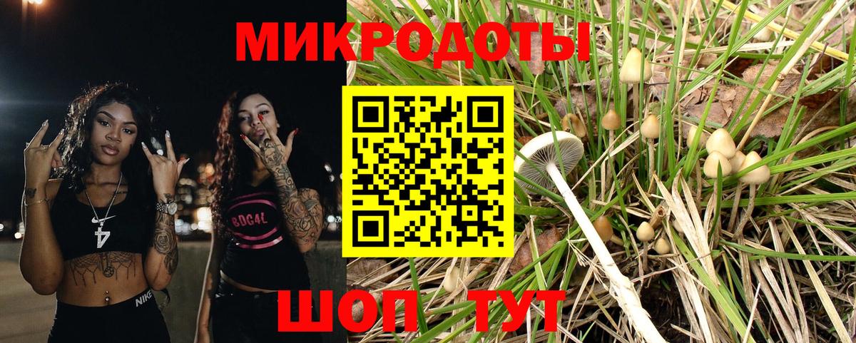 Галлюциногенные грибы GOLDEN TEACHER  дарнет шоп  Киселёвск  Псилоцибиновые грибы ЛСД  Вход с VPN 